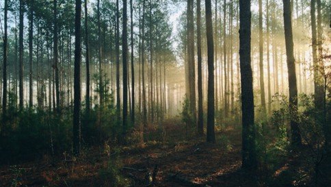 Ранок, коли я почув голос Божий