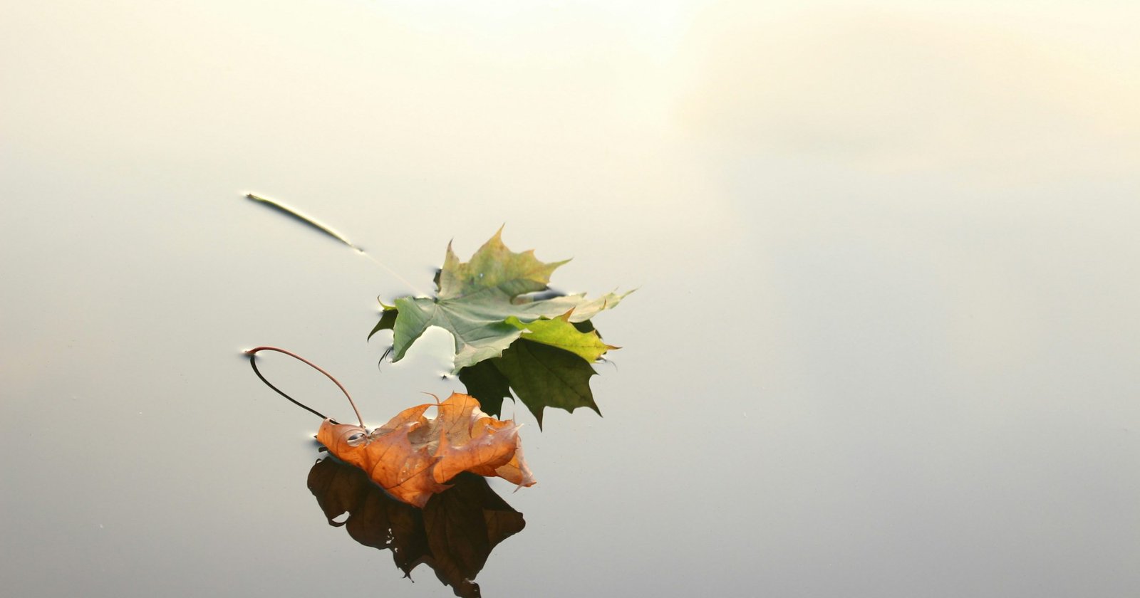 Не марнуйте свою хворобу