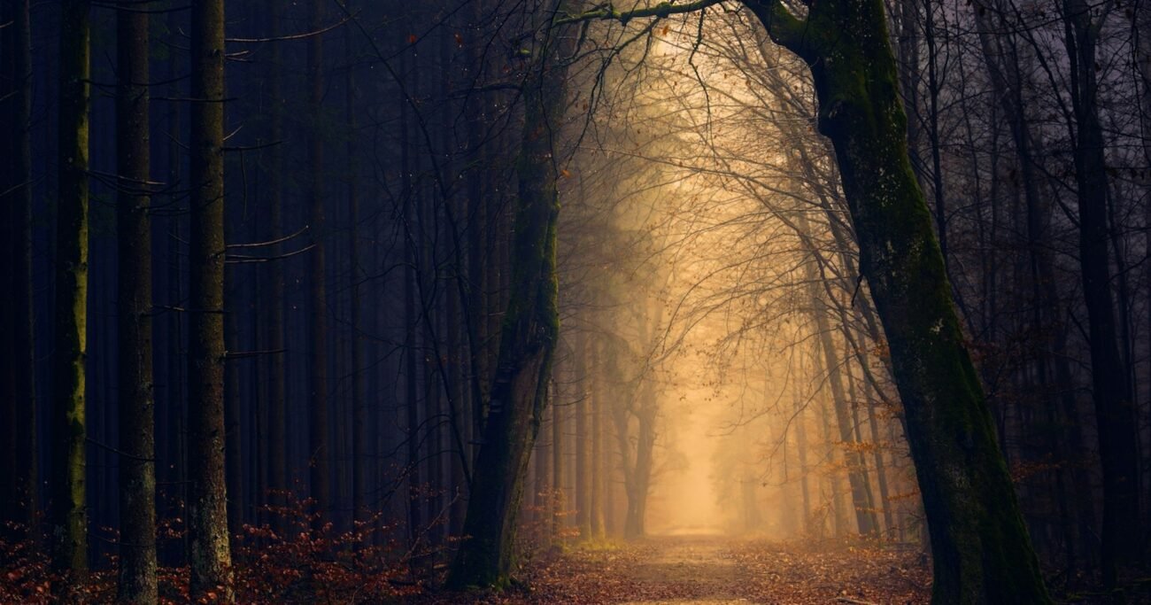 Десять наслідків віри в п'ять пунктів кальвінізму