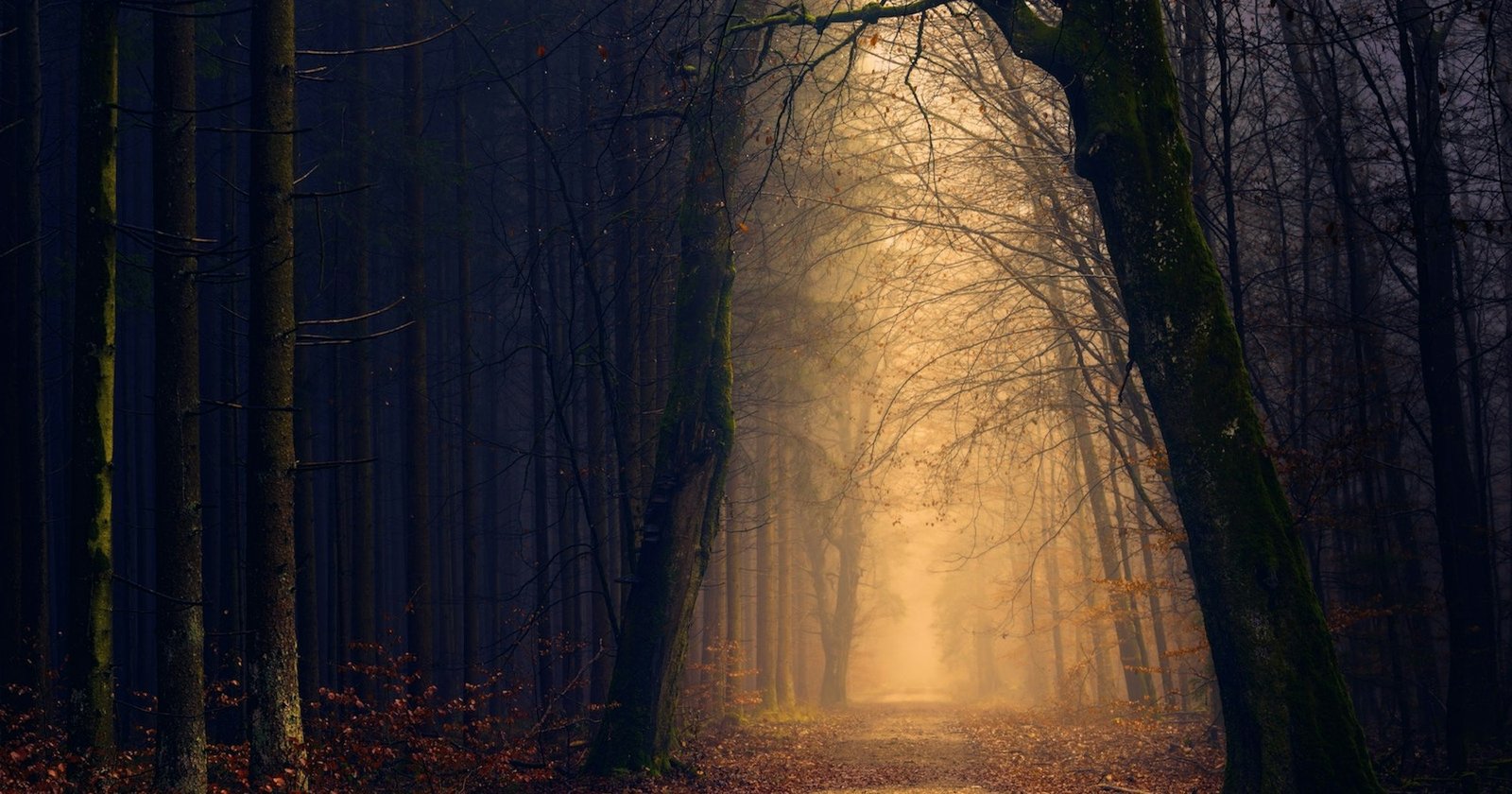 Десять наслідків віри в п'ять пунктів кальвінізму