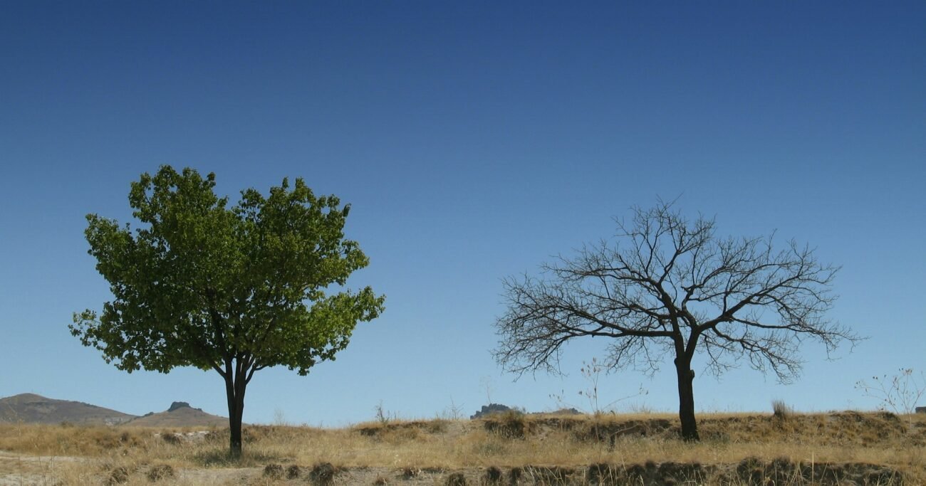 Ви можете вірити Божим обітницям і бути загиблими