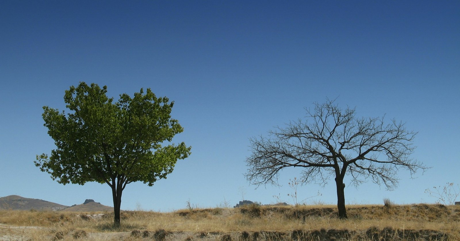 Ви можете вірити Божим обітницям і бути загиблими