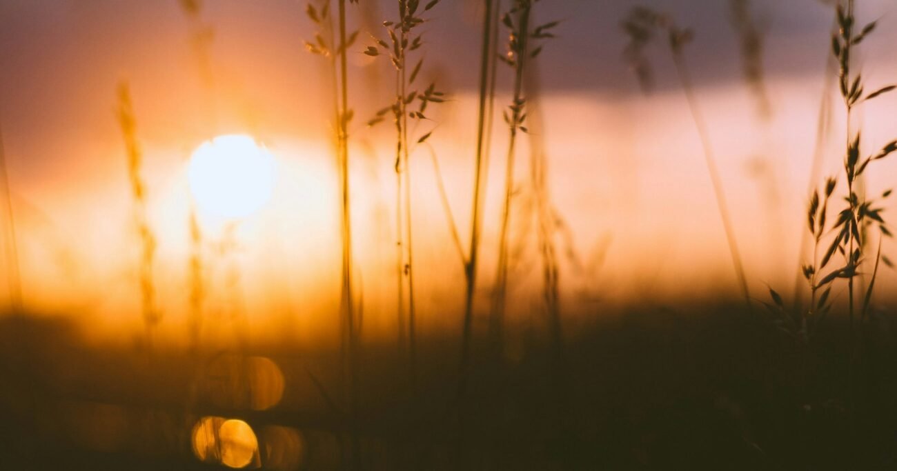 Ніхто не відніме у вас радості: Чому Ісус повинен був залишити землю