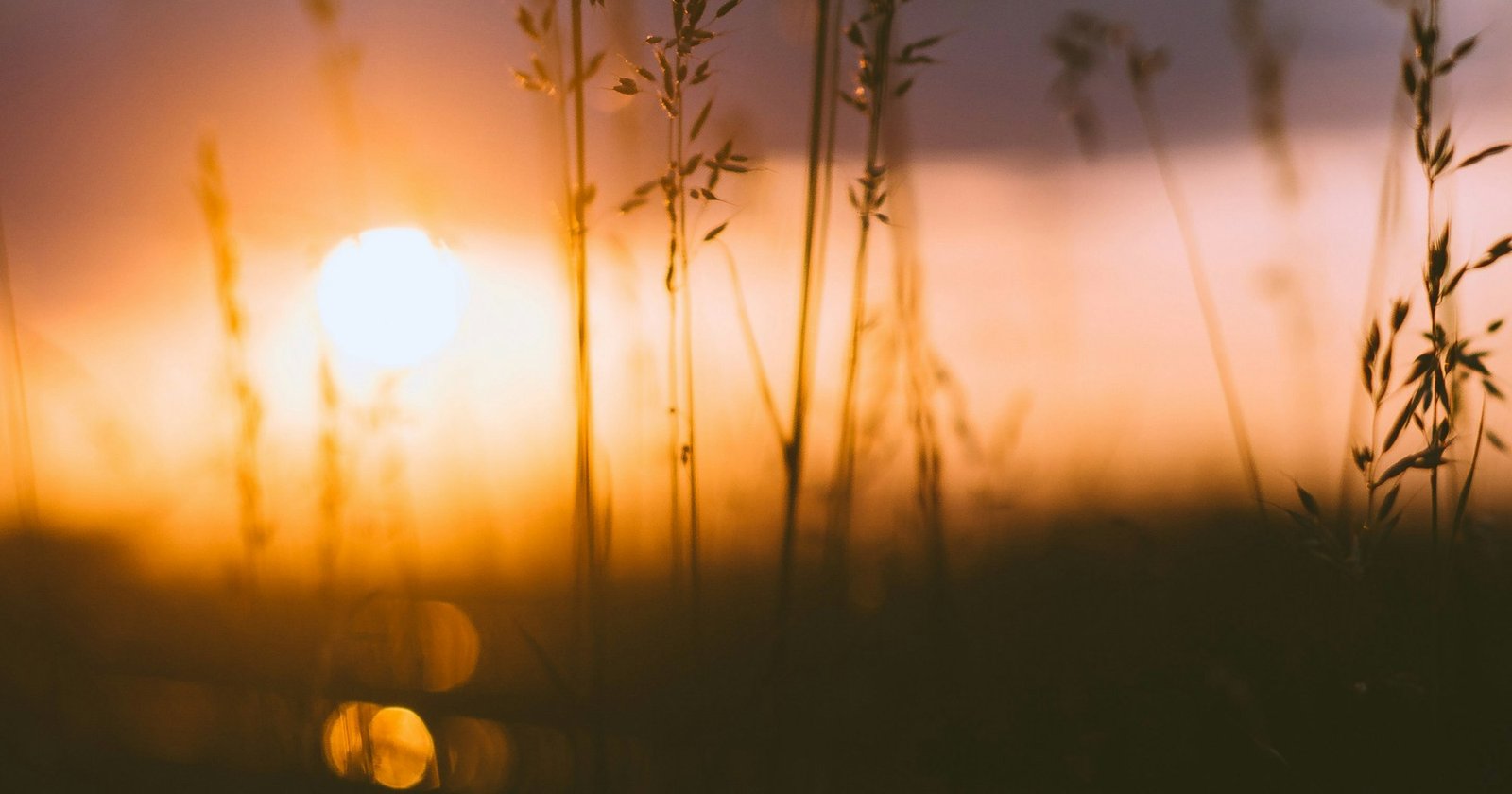 Ніхто не відніме у вас радості: Чому Ісус повинен був залишити землю